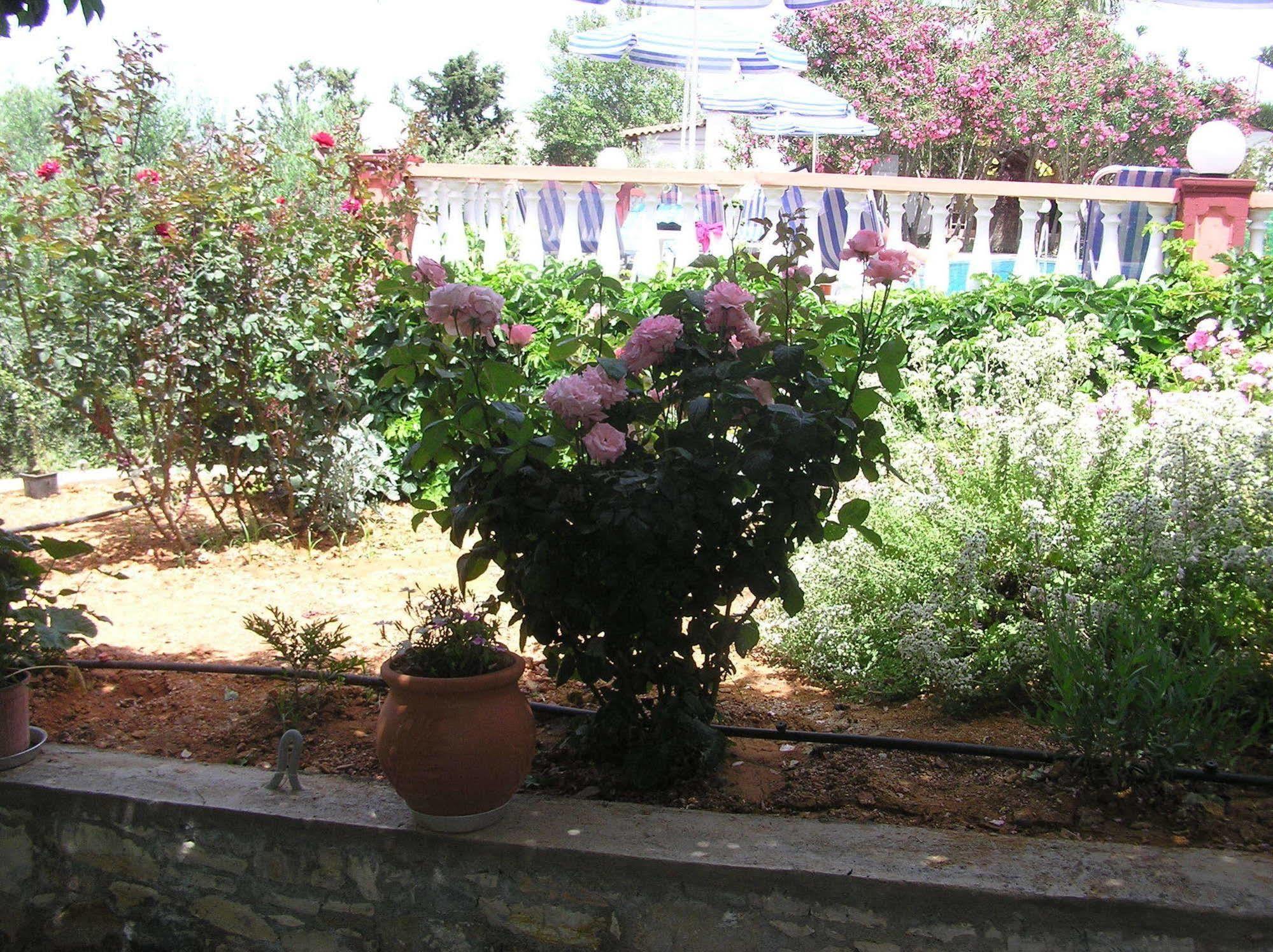 Κνωσσός Aparthotel Πάνορμος Εξωτερικό φωτογραφία