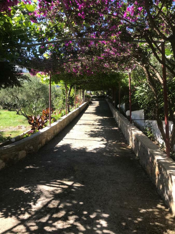 Κνωσσός Aparthotel Πάνορμος Εξωτερικό φωτογραφία